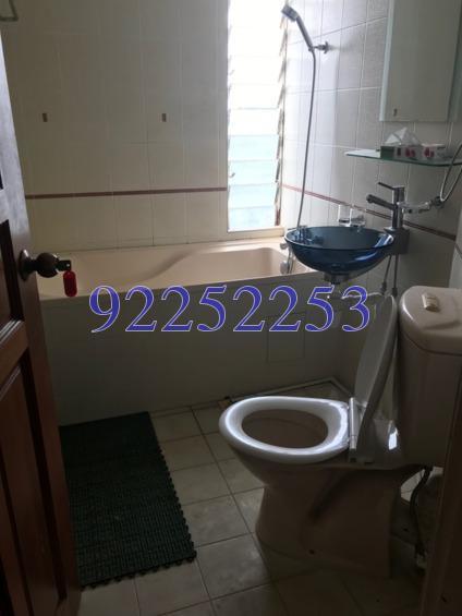 Pandan Valley (D21), Condominium #169295822